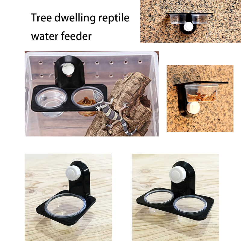Water Dish Reptile - ถังสัตว์เลื้อยคลานอุปกรณ์เสริมแมลงแมงมุมมด Nest งูตุ๊กแกอาหารชามให้อาหาร Terrarium Breeding Feeders