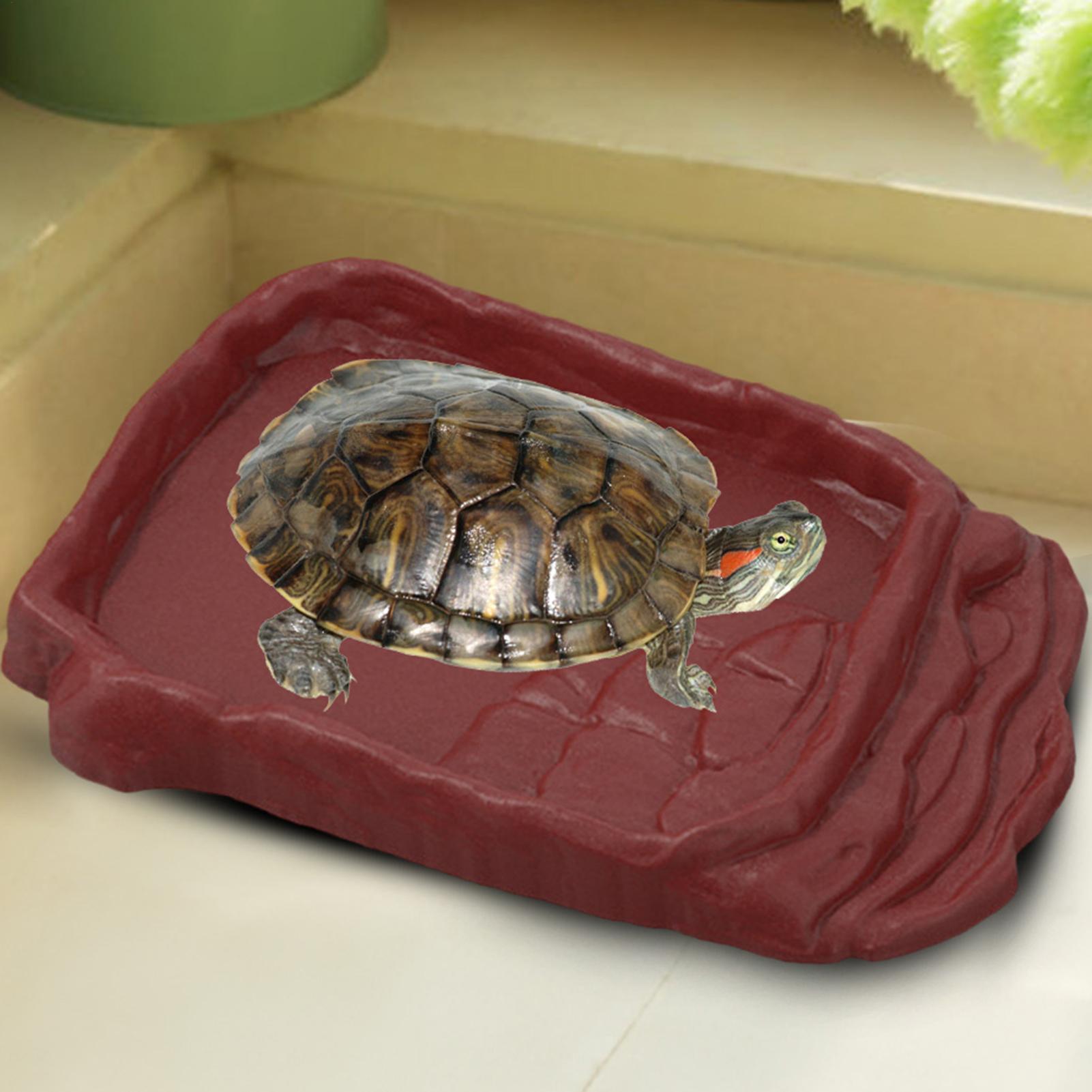 Water Dish Reptile - อ่างอาบน้ำเต่า ถาดน้ำ บันไดกันลื่น ชามสำหรับสัตว์เลื้อยคลาน สระว่ายน้ำสำหรับสัตว์เลื้อยคลาน ของตกแต่งตู้ปลา