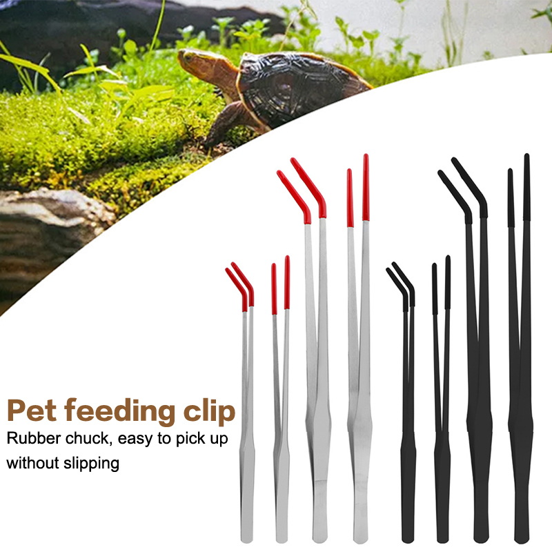 แหนบป้อนอาหารสัตว์เลื้อยคลานสแ - Feeding Tong Stainless บทวิจารณ์และราคา