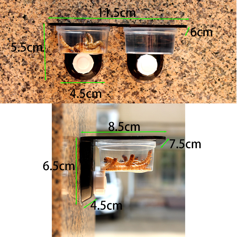 ถังสัตว์เลื้อยคลานอุปกรณ์เสริม - Water Dish Reptile บทวิจารณ์และราคา