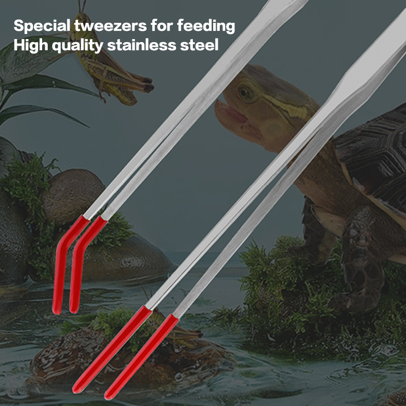 สแตนเลสสตีลสัตว์เลื้อยคลาน Fee - Feeding Tong Stainless บทวิจารณ์และราคา