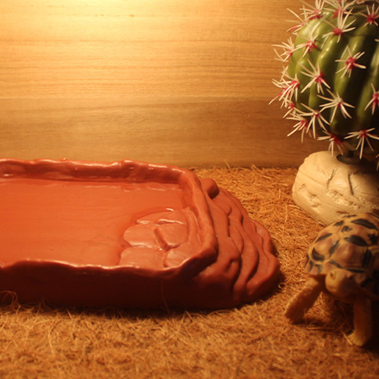 อ่างอาบน้ำเต่า ถาดน้ำ บันไดกัน - Water Dish Reptile บทวิจารณ์และราคา